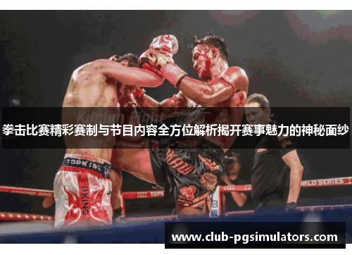 拳击比赛精彩赛制与节目内容全方位解析揭开赛事魅力的神秘面纱