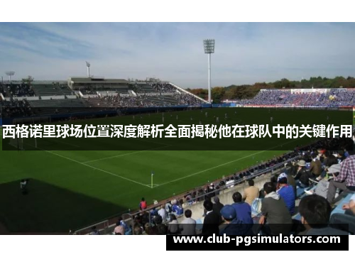 西格诺里球场位置深度解析全面揭秘他在球队中的关键作用
