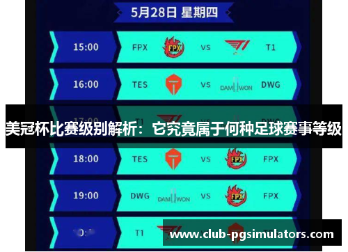美冠杯比赛级别解析：它究竟属于何种足球赛事等级