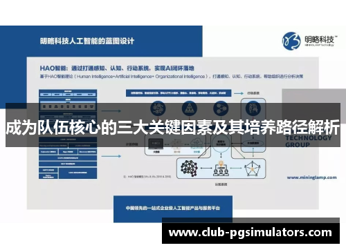 成为队伍核心的三大关键因素及其培养路径解析