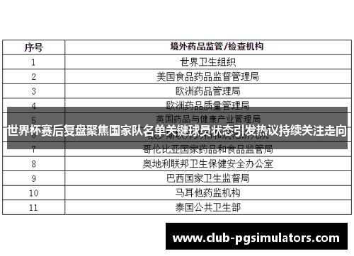 世界杯赛后复盘聚焦国家队名单关键球员状态引发热议持续关注走向 世界杯赛后复盘聚焦国家队名单关键球员状态引发热议持续关注走向