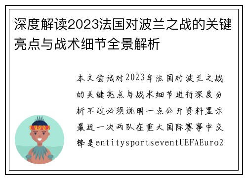 深度解读2023法国对波兰之战的关键亮点与战术细节全景解析